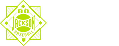 Bo Jackson Baseball logo for NES